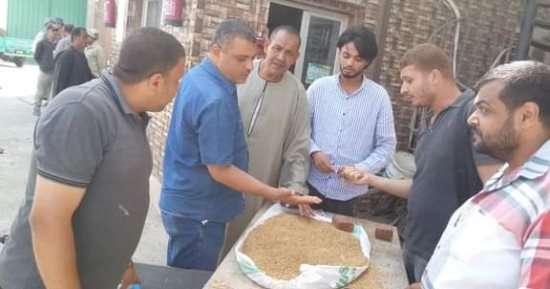 رئيس مدينة أشمون يتابع أعمال توريد محصول القمح بمجمع الصوامع