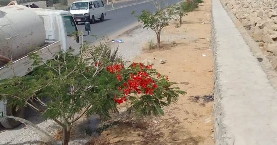 حملات نظافة مكبرة بمركز سنورس فى الفيوم ورفع 253 طن قمامة وأتربة