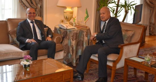 أبو الغيط يستقبل نائب رئيس المجلس الرئاسى الليبى.. ويؤكد دعمه للمصالحة الوطنية