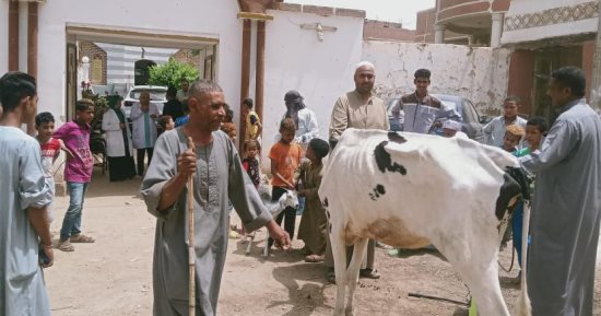 بيطري قنا تنظم قافلة فى قرية أبو مناع غرب بدشنا 