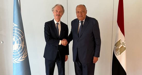 وزير الخارجية يؤكد للمبعوث الأممى ضرورة العمل الجاد لحلحلة الأزمة السورية