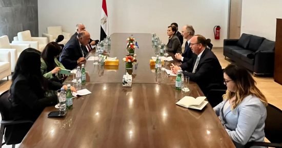 وزير الخارجية يؤكد حرص مصر  على رفع المعاناة عن الشعب السوري الشقيق  