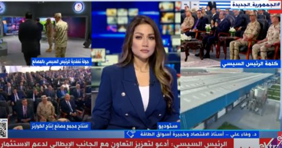 أستاذ اقتصاد: "مصر وضعت رؤية استراتيجية لقطاع التعدين ومصانع الكوارتز نموذج"