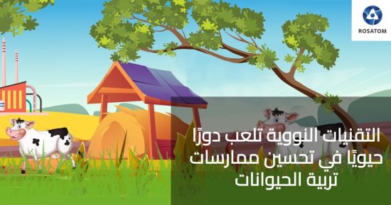 كيف يمكن للطاقة النووية تحسين الإنتاج الحيواني وزيادة إنتاج الألبان؟