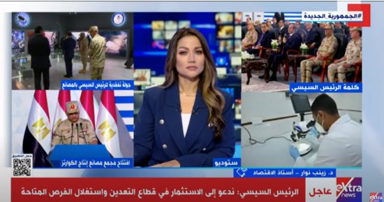 أستاذة اقتصاد: تشجيع الرئيس السيسي للمستثمر المحلى والأجنبى يمنحنا فرصة تخطى الأزمات
