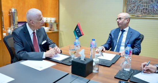 نائب وزير الخارجية للشئون الأفريقية يلتقى نائب رئيس المجلس الرئاسى الليبى