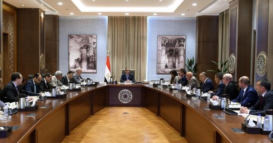 رئيس الوزراء يلتقى عددا من المطورين العقاريين لمناقشة وبحث سبل دعم القطاع العقاري