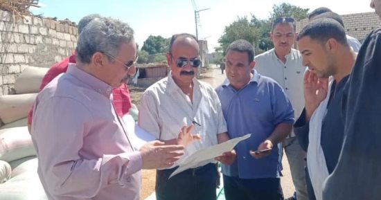 ضبط 120 طن قمح متداولة بهدف الاحتكار بمركزى أبو قرقاص والمنيا