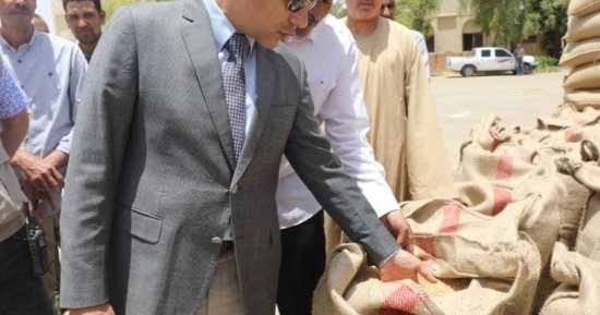 نائب محافظ المنيا يعلن توريد 337 ألف طن من محصول القمح بشون وصوامع المحافظة