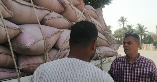 ضبط 58 طنا من محصول القمح بهدف الاحتكار بمركز ملوى بالمنيا