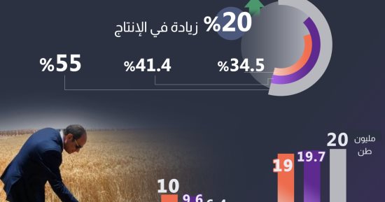 معلومات الوزراء يسلط الضوء على جهود الدولة لتحقيق الاكتفاء الذاتى من القمح.. إنفوجراف