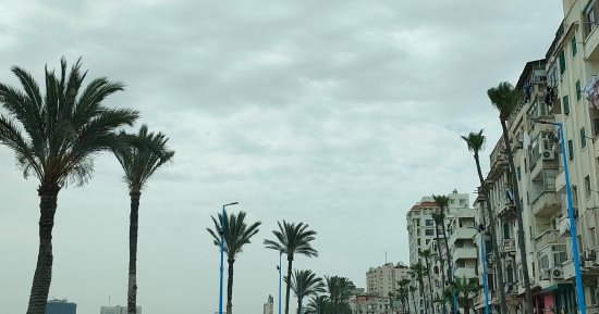 طقس الإسكندرية اليوم.. ارتفاع درجات الحرارة والعظمى 30 درجة 
