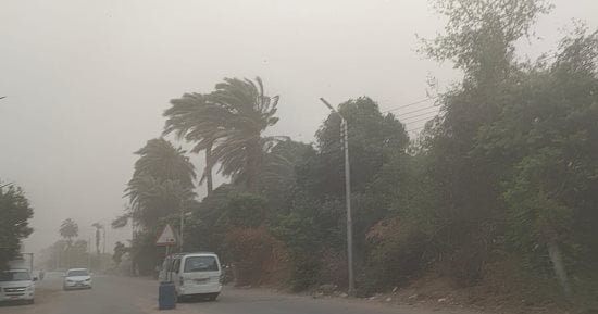 طقس سئ وعواصف ترابية وأمطار متوسطة تضرب سوهاج.. صور