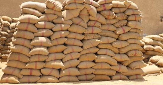 نائب محافظ المنيا: توريد 343 ألف طن من محصول القمح بشون وصوامع المحافظة