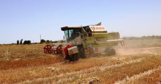 محافظ أسوان: توريد 118.9% من المستهدف لصوامع القمح