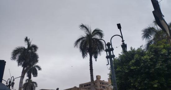 طقس سيئ وسماء ملبدة بالغيوم بالمنيا.. صور