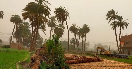 عاصفة ترابية خفيفة فى محافظة الأقصر مع غيوم كثيفة .. صور