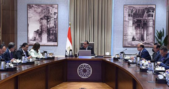 رئيس الوزراء يبحث مقترح تأسيس شركة "المصريين فى الخارج للاستثمار"