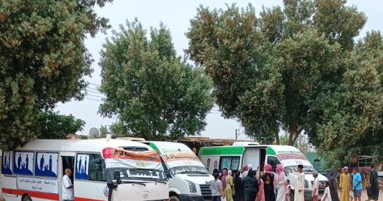 القوافل الطبية تجرى الكشف على 2296 مواطنا وتقدم لهم العلاج فى أسوان