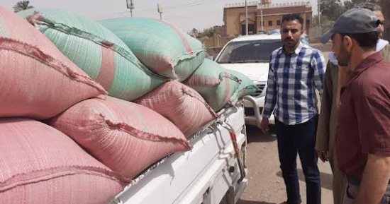 ضبط 12 طنا من محصول القمح بهدف الاحتكار بمركز ديرمواس فى المنيا