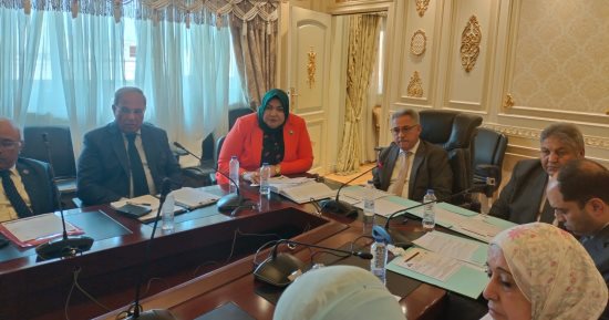 "محلية النواب" تناقش خطط دعم وتأهيل القيادات النسائية بالمحليات
