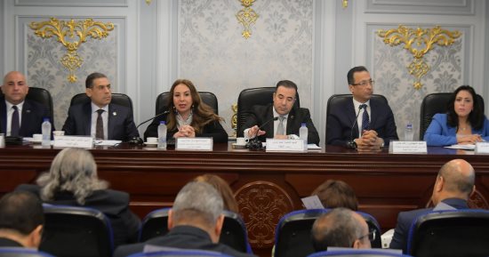 "اتصالات النواب": استثمارات العام الجديد بـ 9.8 مليار جنيه ومساهمات فى حياة كريمة ومدينة المعرفة