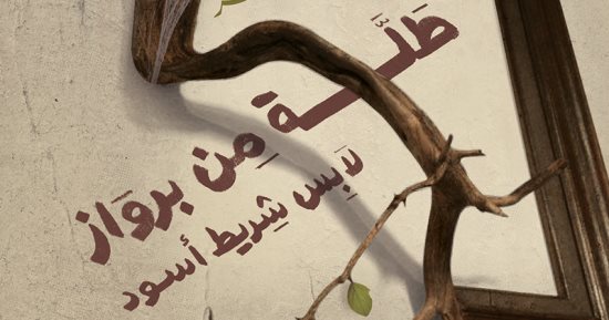 الفائز بجائزة الدولة التشجيعية فى شعر العامية: "ديوانى تعبير عن تجربتى"