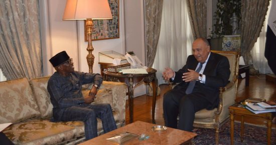 مسؤول أفريقى لسامح شكرى: حريصون على التنسيق الكامل مع مصر حول الوضع بالسودان
