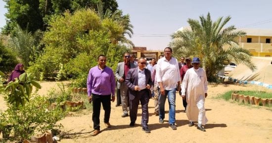وفد وزارة التخطيط يتابع توفر معايير "القرية الخضراء" فى محافظة الوادى الجديد