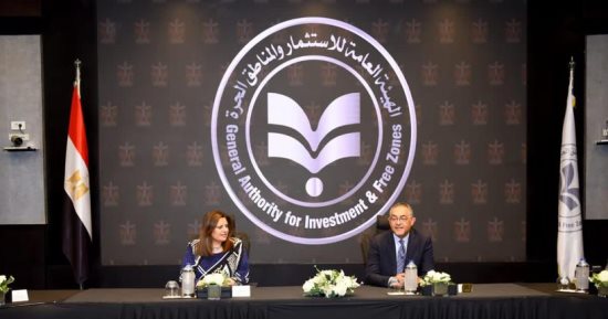 وزيرة الهجرة ورئيس هيئة الاستثمار يلتقيان مؤسسى شركة المصريين بالخارج