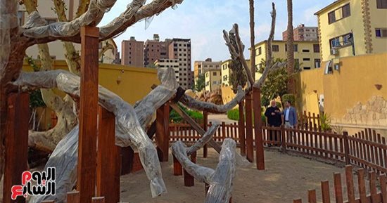 كاهن كنيسة العائلة المقدسة: تغليف الجيل الأول من شجرة مريم بالبلاستيك حفاظا عليها