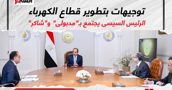 توجيهات بتطوير قطاع الكهرباء.. الرئيس السيسى يجتمع بمدبولى وشاكر.. إنفوجراف