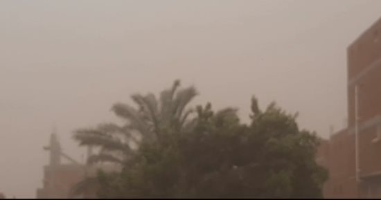 عاصفة ترابية تضرب الإسماعيلية.. وانتظام الملاحة فى قناة السويس.. صور
