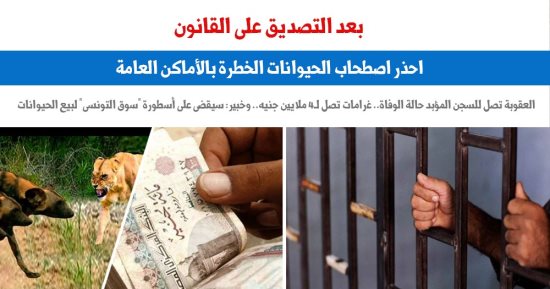 هل يقضى قانون الحيوانات الخطرة على أسطورة سوق التونسى؟.. نقلا عن برلماني