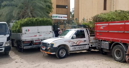 وزارة البيئة تهدى أسوان 5713 شجرة لزراعتها فى قرى "حياة كريمة"