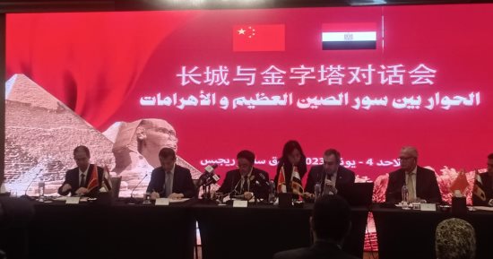 عضو بالحزب الشيوعى الصينى يشيد بخطى مصر نحو التنمية تحت قيادة الرئيس السيسي