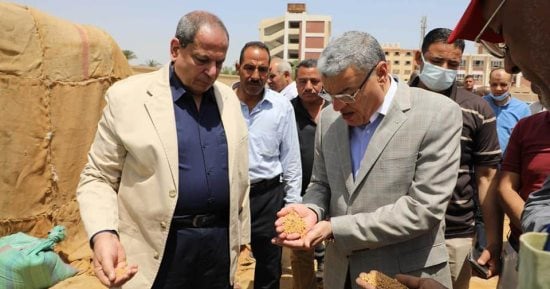 محافظ المنيا: توريد 394 ألف طن من محصول القمح بجميع المراكز