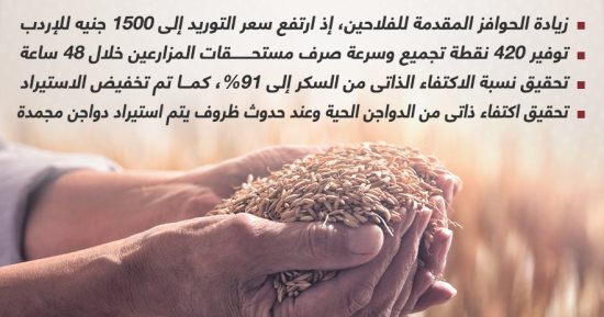 رغم الأزمات العالمية.. جهود الدولة لتحقيق الأمن الغذائى (إنفوجراف)