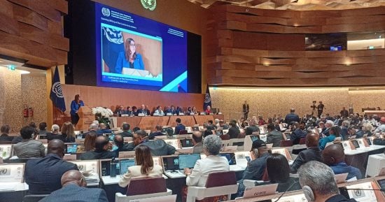 مؤتمر العمل الدولي: 4 مليارات شخص بلا حماية اجتماعية و160 مليون طفل عامل بالعالم