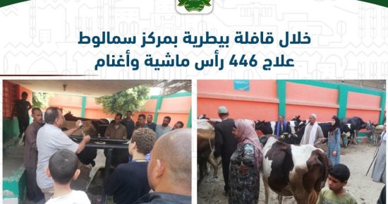 قوافل بيطرية بمركز سمالوط في المنيا والكشف على 446 رأس ماشية وأغنام 