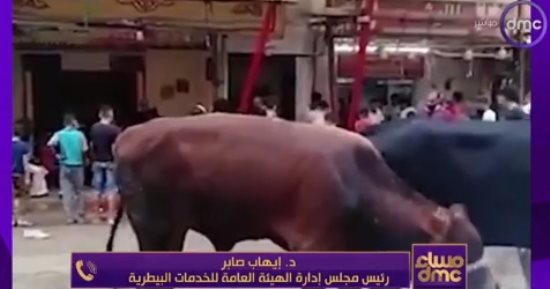 الخدمات البيطرية: المحافظات تتولى الإشراف على تنفيذ منع ذبح الأضاحى بالشارع