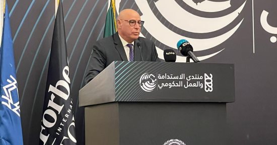 أبو الغيط يدعو لشراكة بين القطاع الخاص والمجتمع المدنى والحكومات لتحقيق الاستدامة