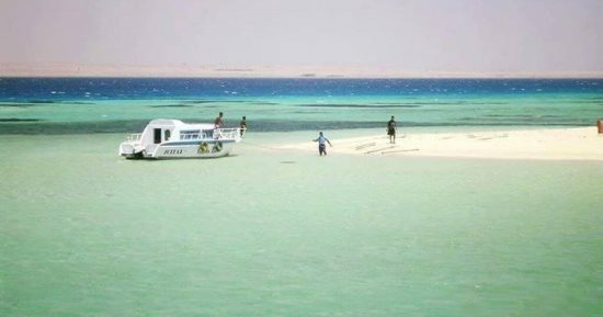 الجزيرة البيضاء.." توبيا" رمال ناعمة ومياه فيروزية.. تقع فى النطاق الجغرافى بمدينة سفاجا.. يقصدها عشاق الهدوء ومحبو السنوركلنج والغوص والكائنات البحرية.. وتشاهد من مسافة بعيدة بسبب بياض رمالها.. صور