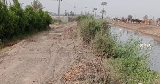 رى الإسماعيلية يبدأ إصلاح انهيار جزء من جسر ترعة بورسعيد.. صور