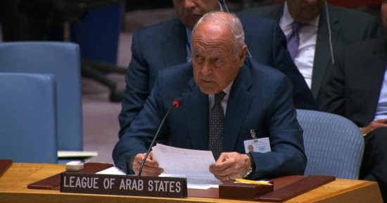 أبو الغيط: ألمس إجماعا دوليا متزايدا بمجلس الأمن حول وقف العدوان على غزة
