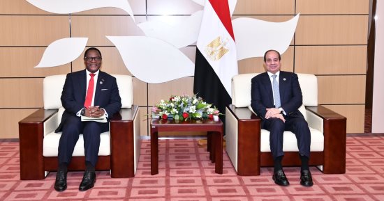 الرئيس السيسى يلتقى رئيس مالاوى ويؤكد حرص مصر على تعزيز التعاون بين البلدين