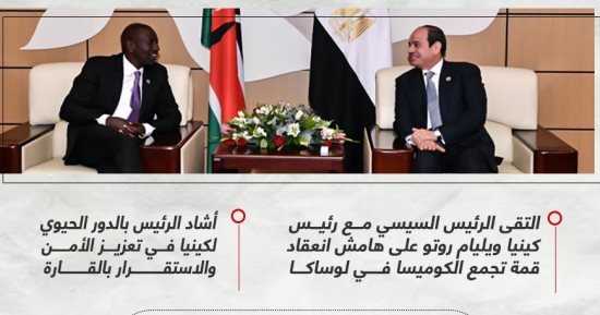 بحث تطورات قضية سد النهضة.. الرئيس السيسى يلتقى نظيره الكينى (إنفوجراف)