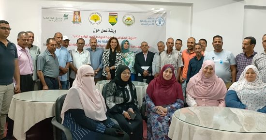 تعاون بين الفاو و البحث العلمي ومحافظة الوادي الجديد لتسجيل بعض التمور كمؤشر جغرافي