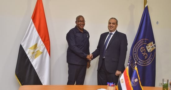 رئيس هيئة الدواء يلتقي المدير التنفيذى للمجلس القومى للرقابة على الأدوية بناميبيا