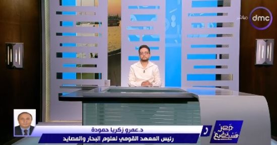رئيس القومى لعلوم البحار: مهاجمة أسماك القرش للإنسان ترجع لتغير فى سلوكياتها